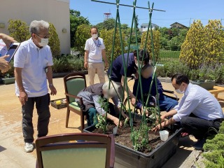 屋上庭園で苗植え
