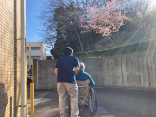 外周散歩