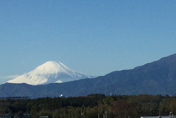 【フェリエ ドゥ高座渋谷】～６Fの角部屋空きました！～