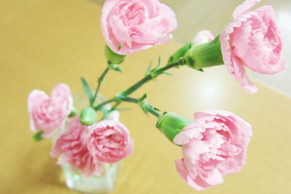 【サンライズホーム瀬谷市民の森】～うっとり+にっこり～