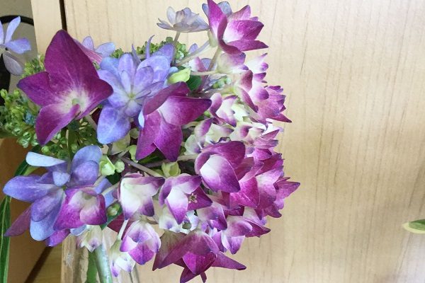 【フェリエ ドゥ三鷹】～お花に癒されています～