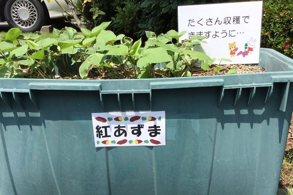 【フェリエ ドゥ三鷹】～今からどれを食べるか検討中～
