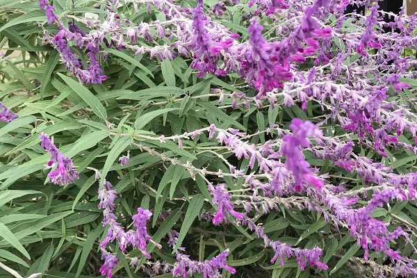 【フェリエ ドゥ横浜鴨居】～ZOOM　in研修～