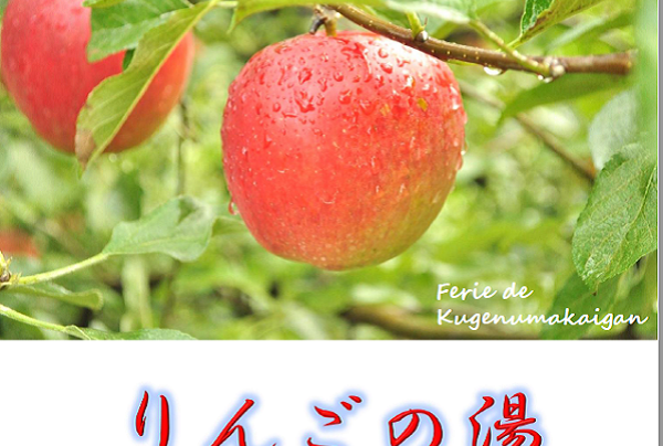 【フェリエ ドゥ鵠沼海岸】～今月はリンゴの湯～