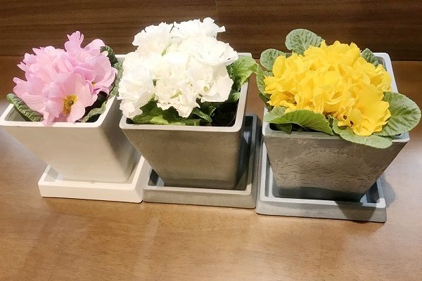【サンライズ・ヴィラ横浜東寺尾】～SV横浜東寺尾へようこそ～