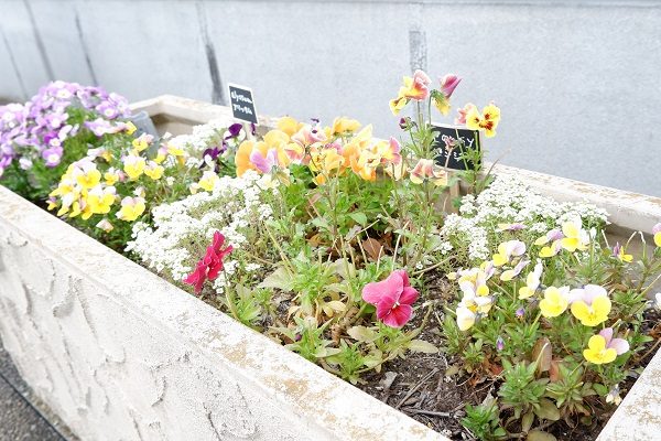 【フェリエ ドゥ鵠沼海岸】～富士山と共にご挨拶～