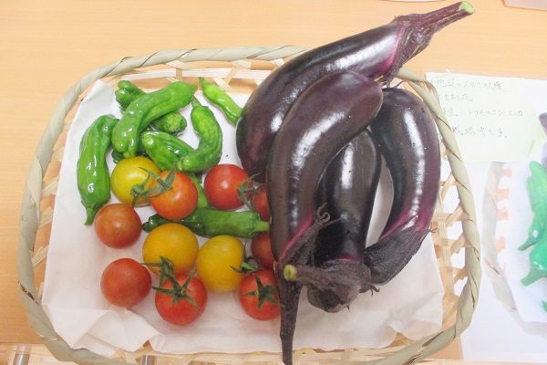 【サンライズ・ヴィラ春日部】～ホーム菜園の夏野菜たち～