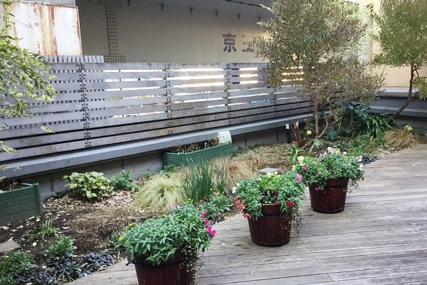 【フェリエ ドゥ稲田堤】～駅近オアシス、目指しています～