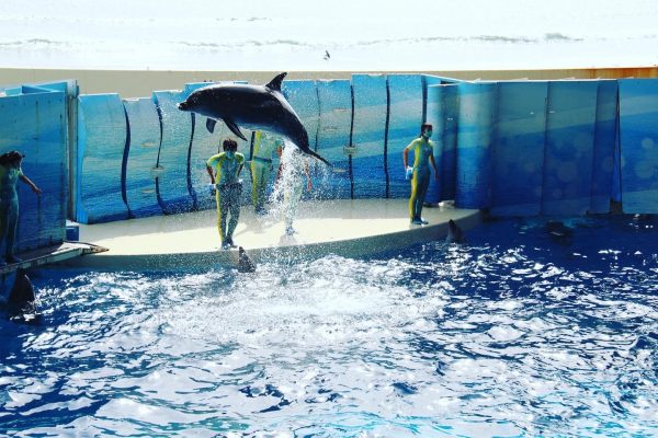 【フェリエ ドゥ 鵠沼海岸、サンライズ・ヴィラ藤沢湘南台】～再開！外出レク！～