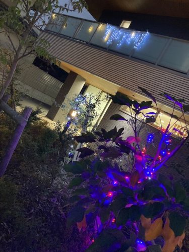 【サンライズ・ヴィラ小竹向原】～Merry Christmas🎄～