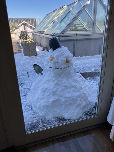 【フェリエ ドゥ 鵠沼海岸】～演奏会と雪～