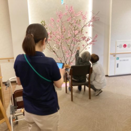 【サンライズ・ヴィラ横浜東寺尾】～大きな桜の木下で🌸～