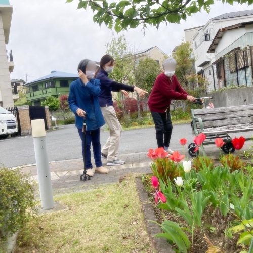 【フェリエ ドゥ 横浜鴨居】〜鴨居の色々🌷～