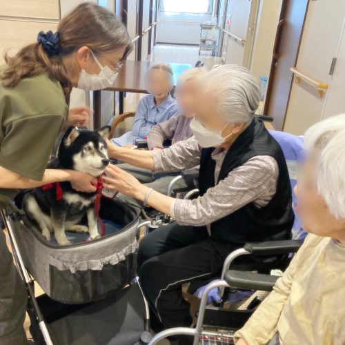 【サンライズ・ヴィラ横浜東寺尾】～犬、外出、花、買い物、ネイル🙌🏼～