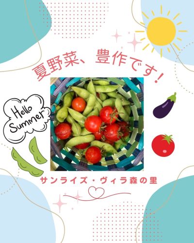 【サンライズ・ヴィラ森の里】～夏野菜、豊作です🍅～