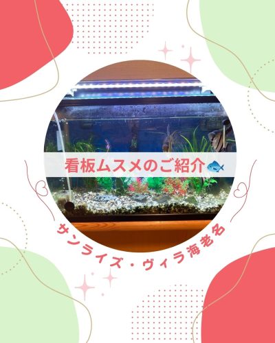 【サンライズ・ヴィラ海老名】～看板ムスメのご紹介～